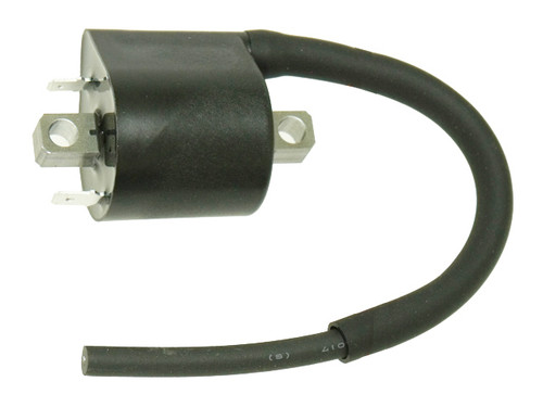 Atv Ignition Coil