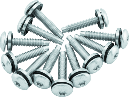 Twin Power 04-17 Dyna Models Fuel Pump Plate Screw Kit Replaces H-D 1331