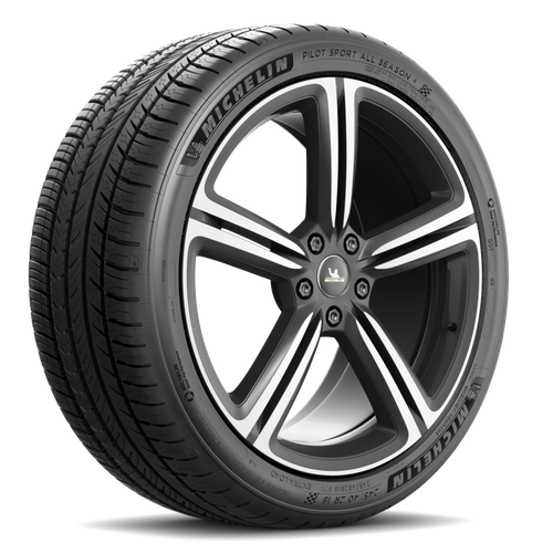 Michelin Pilot Sport A/S 4 315/35R20 110V XL