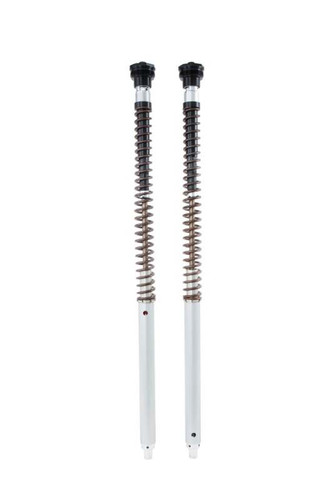 Ohlins 21-23 Honda CRF300L (Asia) NIX 30 Adventure Cartridge Kit (Springs/Oil Sold Separately)