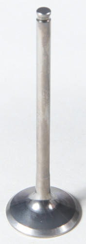Exhaust Ti Valve