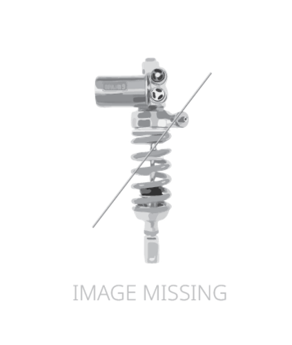 Ohlins 19-21 Royal Enfield Interceptor 650 STX 36 Twin Shock Absorber