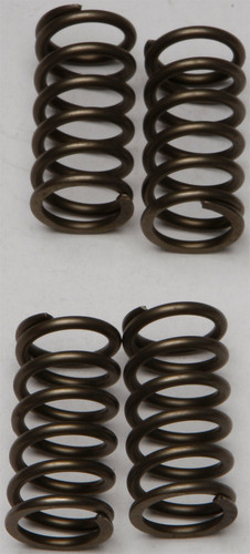Clutch Springs Csk142
