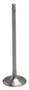 White Diamond Exhaust Valve