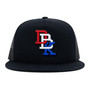 Dropout Usa 2fifty Black Trucker Hat