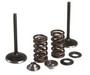 Intake Valve/spring Kit Stainless Steel Yam