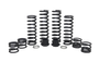 Full Spring Kit Pol Xpedition 2 Seat