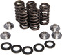 Racing Valve Spring Kit