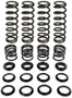 Dual Rate Spring Kit Pol