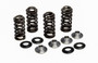 Racing Valve Spring Kit