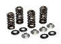 Racing Valve Spring Kit Yam