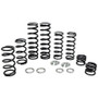 Dual Rate Spring Kit Pol