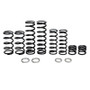 Dual Rate Spring Kit Pol