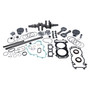 Complete Engine Rebuild Kit Pol