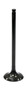 Exhaust Valve