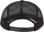 WP489-2007_2.png