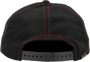 WP489-2008_2.png