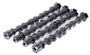 GSC P-D 2024+ Ford Mustang 5.0L Coyote Gen 4 R3 Camshaft Set (Req Ported Heads & Spring Upgrade)