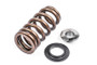 APR 12-16 Porsche Panamera Valve Spring - Single
