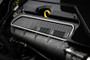 APR 17-20 Audi RS3 2.5T Carbon Fiber Intake Manifold Cover Plate