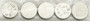 Valve Shims 8.90x1.76mm 5/pk