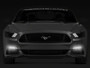Raxiom 15-17 Ford Mustang Axial Series Switchback Turn Signal Conversion Kit