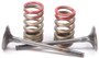 Exhaust Valve Conversion Set Ti-steel Kaw/suz