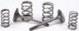 Exhaust Valve Conversion Set Ti-steel Kaw
