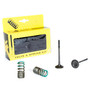 Exhaust Valve Conversion Set Ti-steel Gas/yam