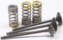 Intake Valve Conversion Set Ti-steel Gas/yam