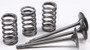 Intake Valve Conversion Set Ti-steel Gas/yam