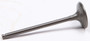 Intake Valve I Steel Yam