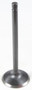 Black Diamond Exhaust Valve