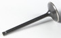 Black Diamond Intake Valve