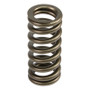 Comp Cams Valve Spring, Ford Powerstroke 6.0/6.4