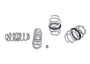 Whiteline 22-26 Hyundai Elantra N (CN7) Lowered Front and Rear Lower Coil Spring Lowering Kit