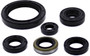 Oil Seal Set Kaw