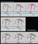 Cusco Safety21 6pt 2Pssgr BLK Thru Dash Roll Cage Nissan R33 2dr (S/O/No Cancel)