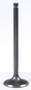 Black Diamond Exhaust Valve