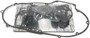 Complete Est Gasket Evo Sportster Kit Oe#17032-91