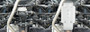 Rival 2019-2026 Subaru Forester Aluminum Differential Skid Plate