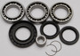 Rear Differential Bearing And Seal Kit