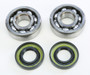 Crankshaft Bearing & Seal Kit Kaw/suz