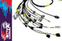 Rywire Honda B-Series NA w/Link G4+ Eng Harn (4 Inj No EMAP/Boost/ Adapter Req / Drop Ship Only)