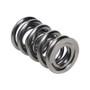 Manley Valve Spring, SPRING-1425 POLISHED