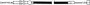 Throttle Cable Single