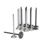 Skunk2 Honda K20C1 Alpha Series Intake & Exhaust Valve Set (Standard Compression)