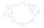 Cometic Ford 351W Windsor V8 .018in AFM Water Pump Gasket - SVO