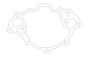 Cometic Ford 351W Windsor V8 .018in AFM Water Pump Gasket - SVO