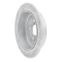 R1 10-20 Lexus Rx350 Rear Right Drilled & Slotted Geo-Carbon Rotor